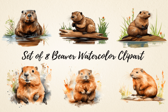 Download Beaver Watercolor Clipart Bundle - Premium Resources